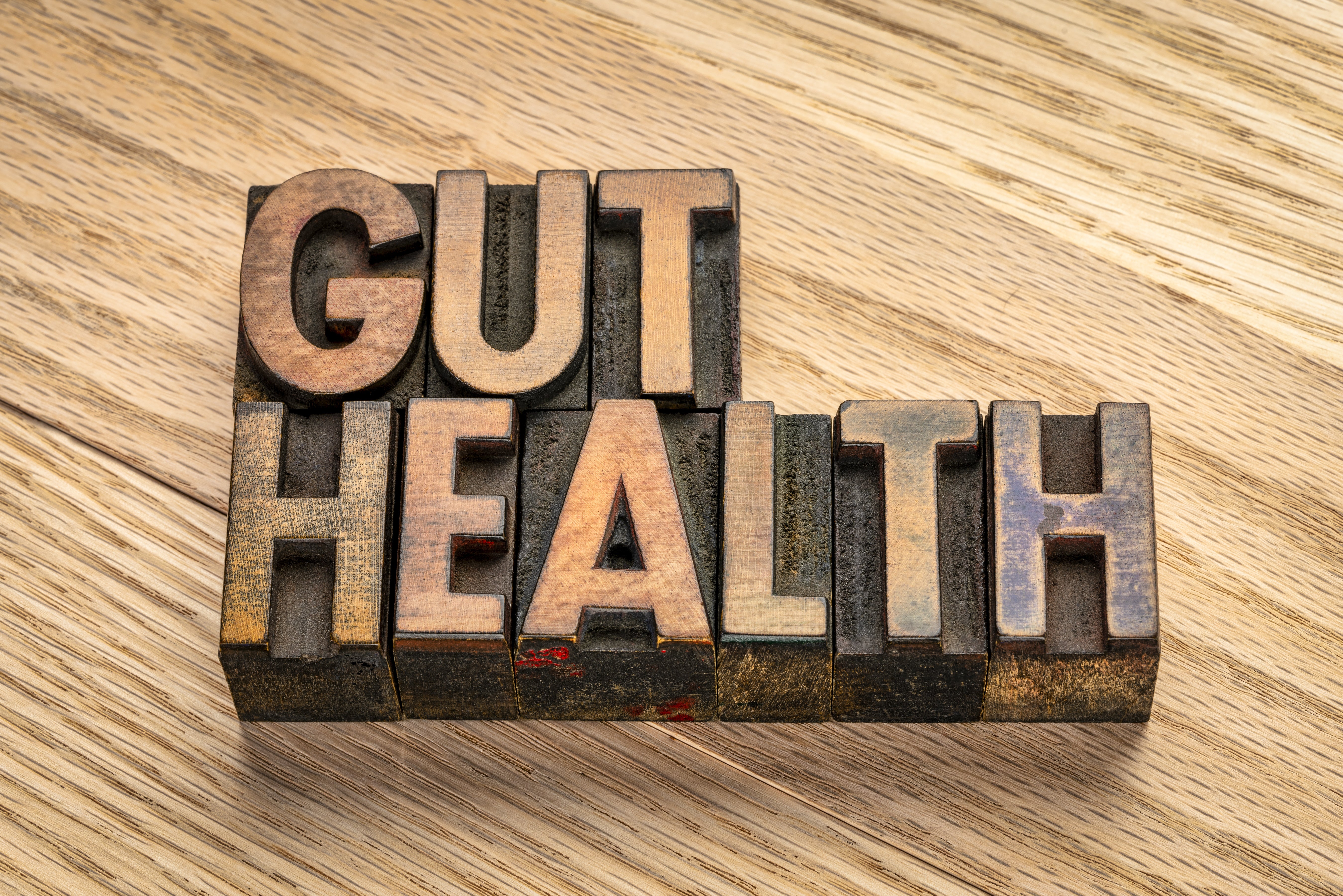 Get to know your gut!
