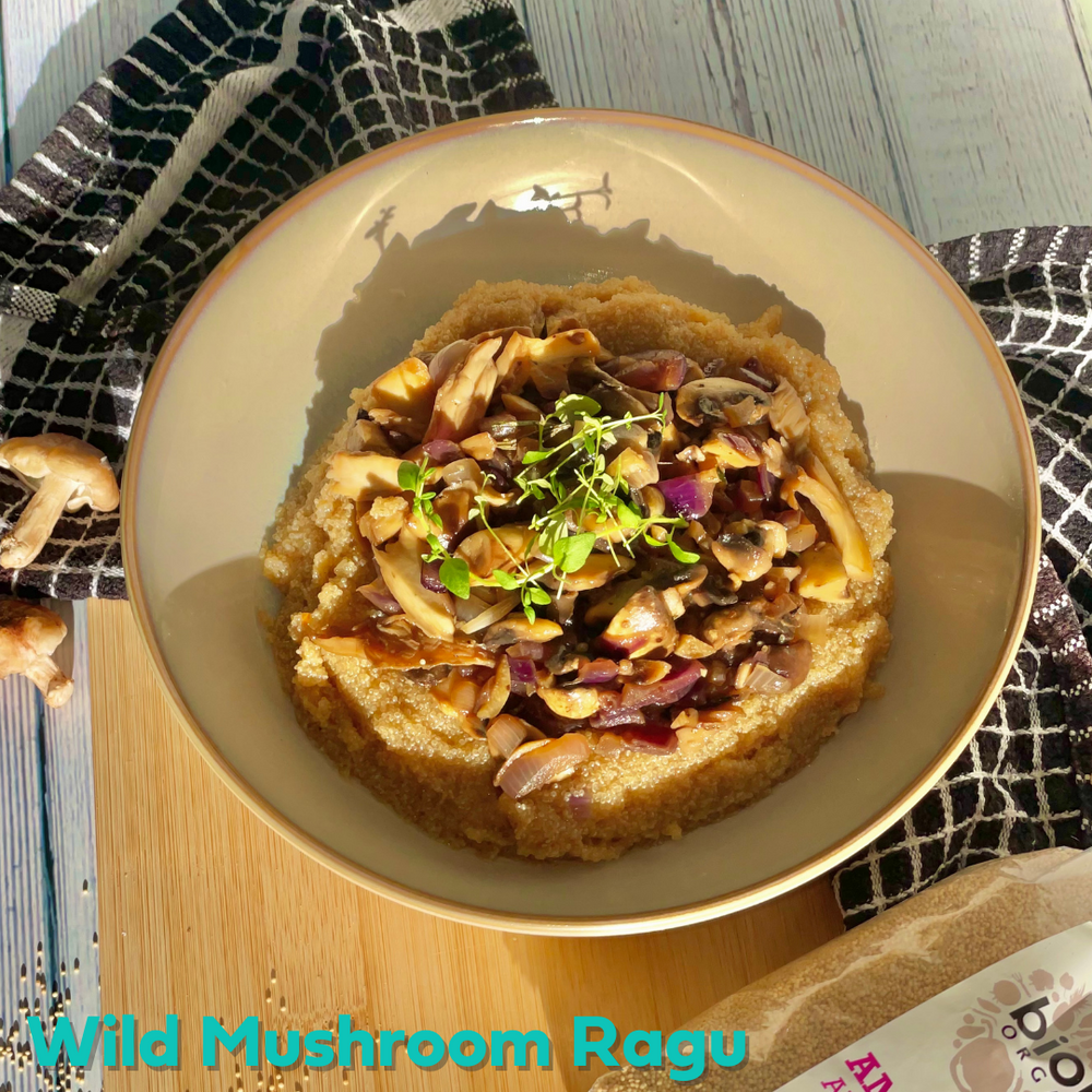 Wild Mushroom Ragu