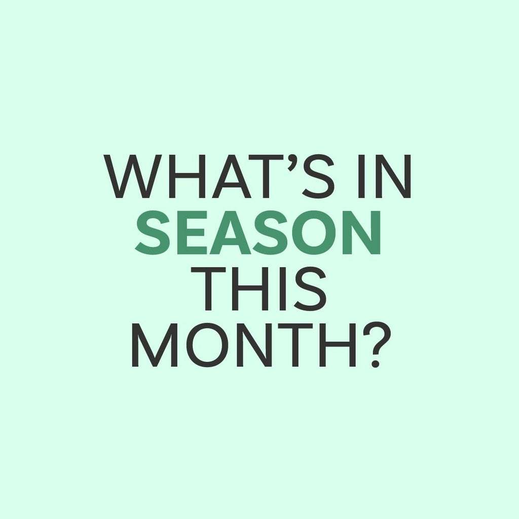 February: What's In Season