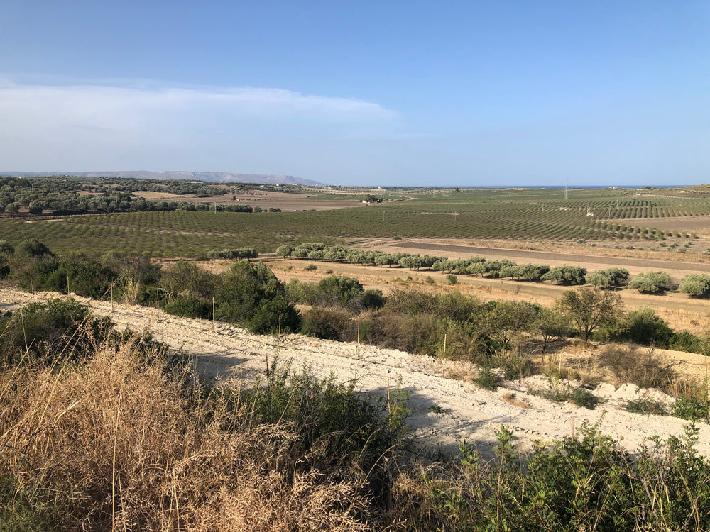 Sicilian Splendour: Our Search for the Best Almond Butter