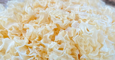 Discover the Tremella Fuciformis Mushroom: Elevate Your Beauty and Wellness