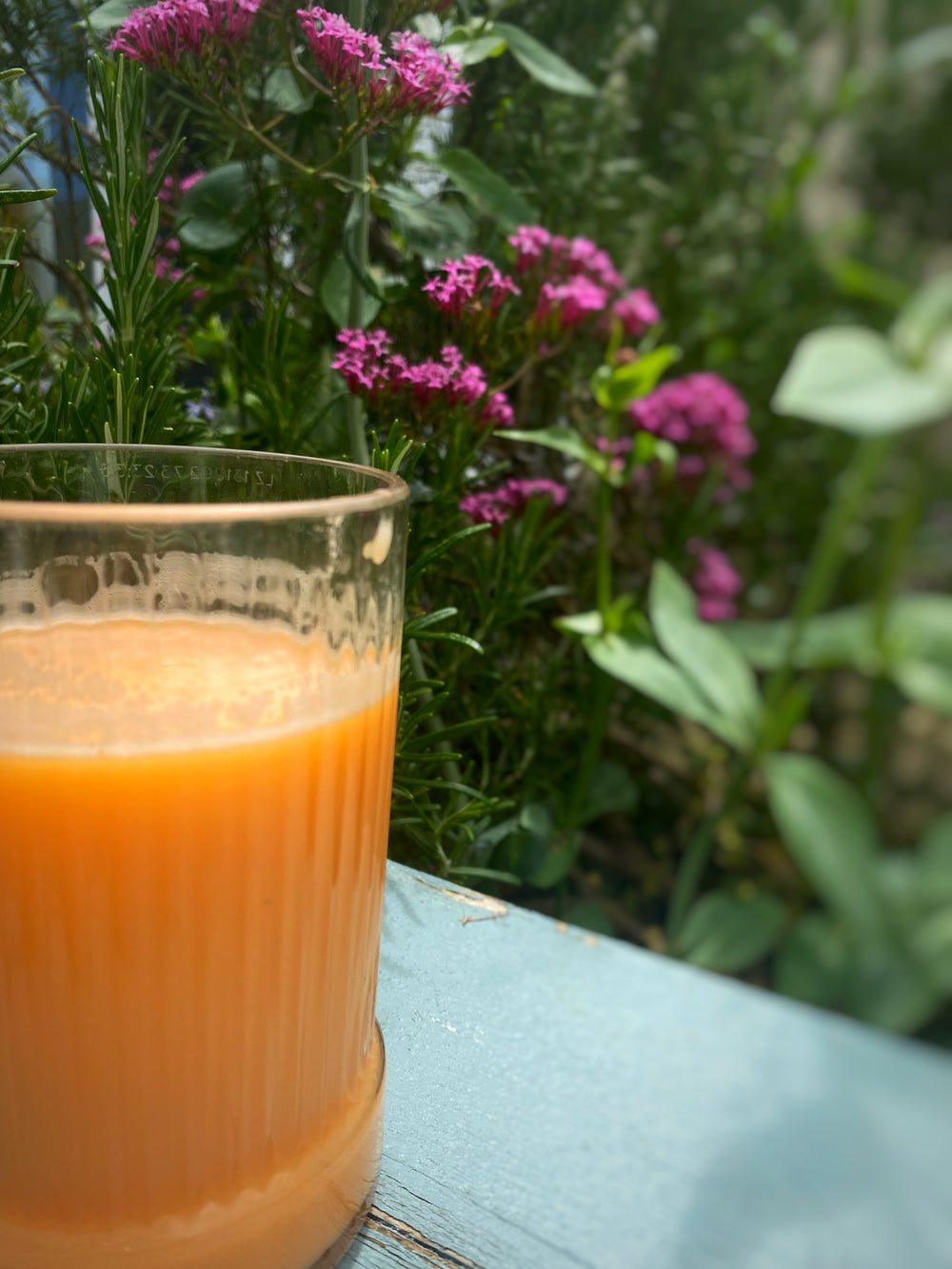 Carrot and Ginger Smoothie