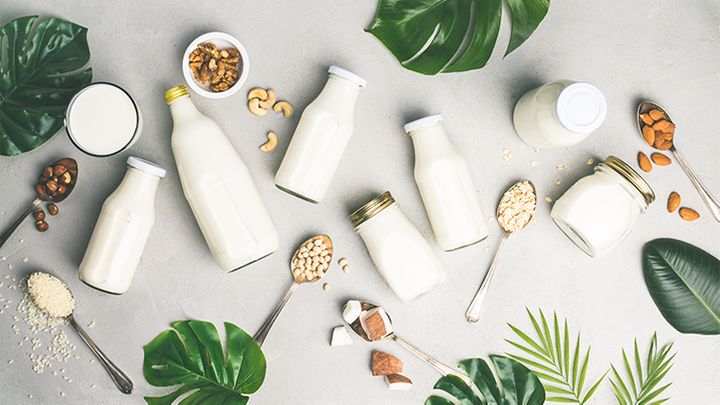 What You Need to Know About Plant Based Milks