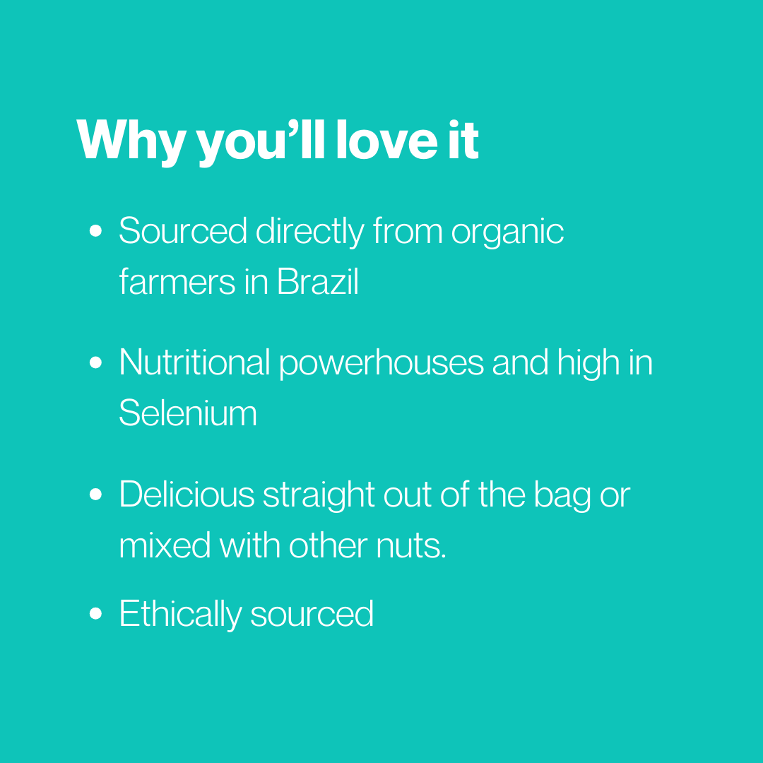 WellEasy Organic Brazil Nuts 500g