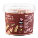 Roberts's Yummy Peanuts Pot BBQ 200g